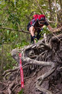 BIB: 
                            <button type="button" onclick="openModal(22239650)" class="btn btn-primary btn-sm float-right btn-popup" data-toggle="modal" data-target=".modal-high-quality">
                        <i class="fas fa-shopping-cart"></i> Add to Cart
                    </button>
                                            <button type="button" onclick="isThisMe(22239650, true)" class="btn btn-success btn-sm float-right btn-popup btn-isme hidden" data-toggle="tooltip" data-placement="bottom" title="นี่คือรูปของคุณใช่ไหม คลิกที่นี่เพื่อเอาเข้าอัลบั้ม">
                        <i class="fas fa-plus"></i> Add to album
                    </button>
                    <button type="button" onclick="isThisMe(22239650, false)" class="btn btn-warning btn-sm float-right btn-popup btn-isnotme hidden">
                        <i class="fas fa-ban"></i> Remove from album
                    </button>